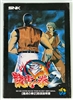 Art of Fighting 2 Japanese AES (manual only)